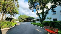 Holland Rise (D10), Apartment #534235021